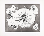 Island Plate, 1973

Radierung und Aquatinta, 99,7 x 118,7 cm, gerahmt 
7/36, handsigniert und datiert (blasser, kleiner Kaffeefleck in der oberen Bildhälfte)

AUSRUFPREIS: 1300.-
