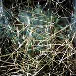 O.T. aus der Serie 'Aufhänger' 

(Inszenierung im Palais Yeniköy, Istanbul),
2014
Print, 60 x 60 cm, gerahmt
Auflage: 5, rückseitig signiert

AUSRUFPREIS: 480.-