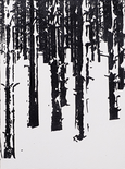 Ohne Titel (Wald), 2019

Epodixharz auf Papier, 51 x 38 cm
rückseitig signiert, datiert und beschriftet

AUSRUFPREIS: 1200.-