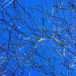 o.T. aus der Serie 'Aufhänger' (Inszenierung im Park des Palais Clam Gallas), 2014

Print, 60 x 60 cm, Aluwechselrahmung
EdA, Auflage: 5, rückseitig signiert

Ausrufpreis: 500,-